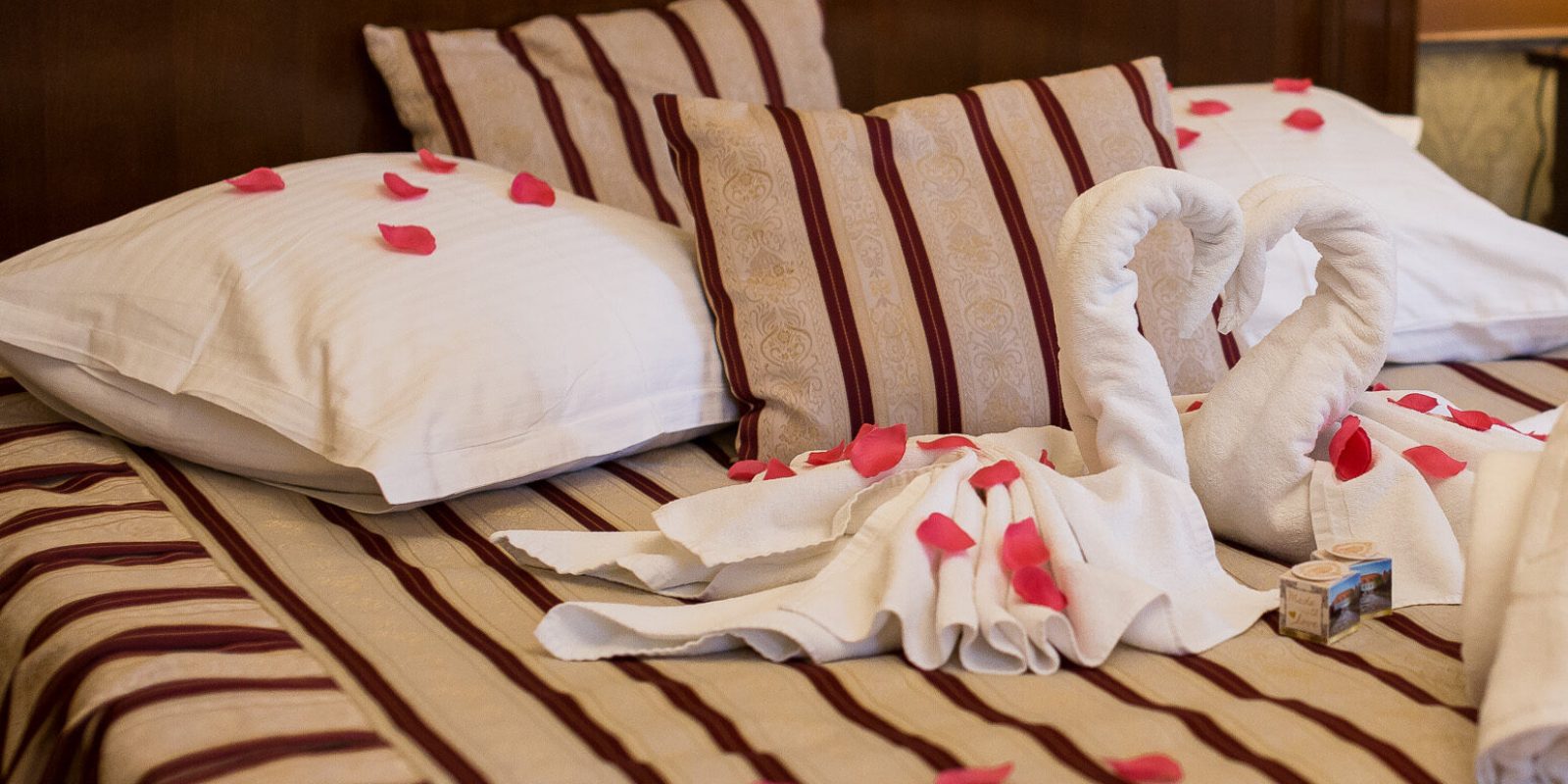 44612796284_49e5765ef3_o